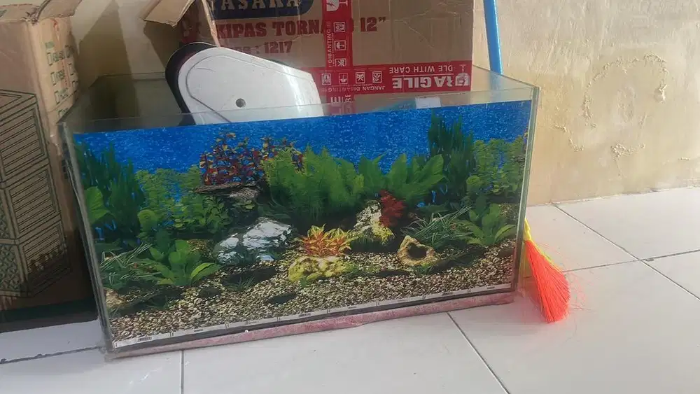 Jual Aquarium lebar 60cm