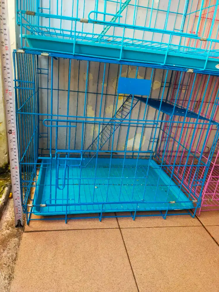 Kandang kucing masih bagus