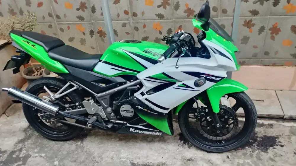 ninja rr new SE 30 th aniversarry