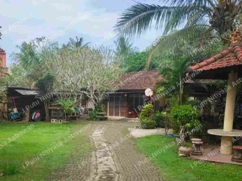 DIJUAL Tanah Pinggir Jalan Utama Dekat Pasar Mambal Abiansemal Badung