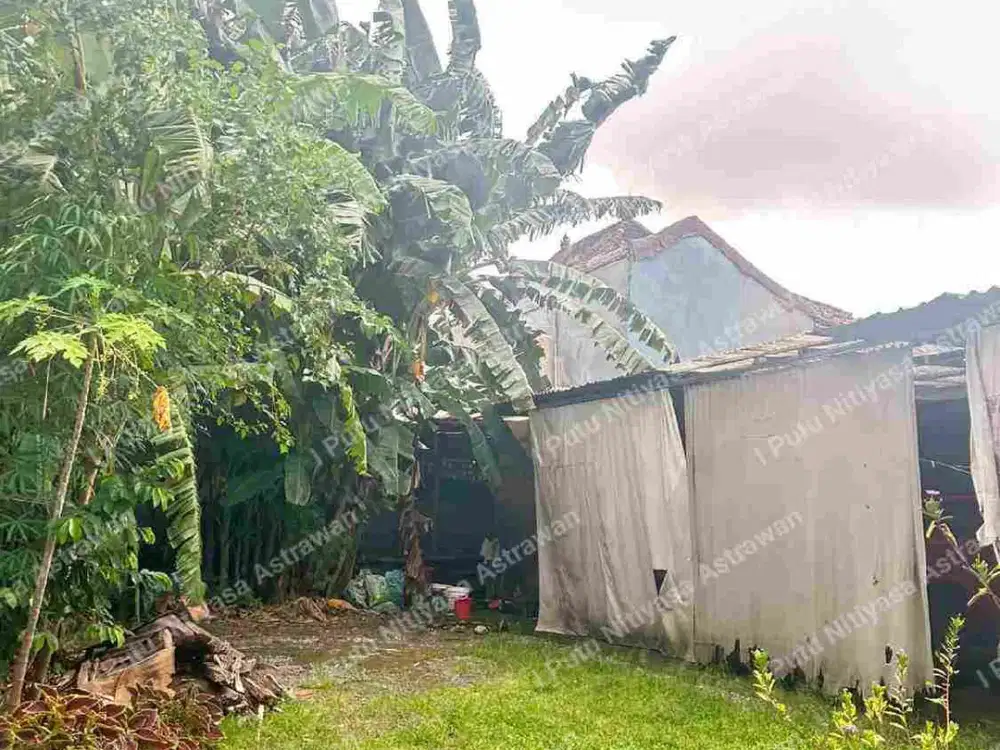 DIJUAL Tanah Dekat Banjar Kwanji Dalung, ±50 Meter dari Jalan Raya