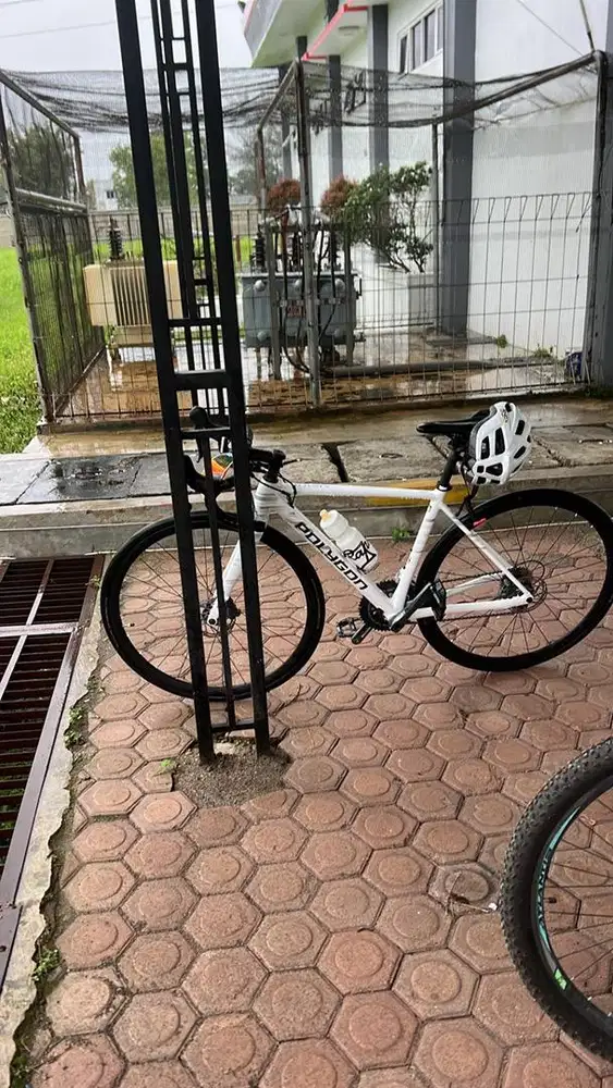 Sepeda polygon strattos 4