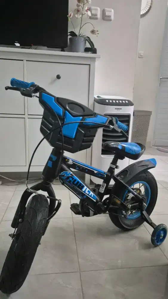 Sepeda Roda 4 Used Like New