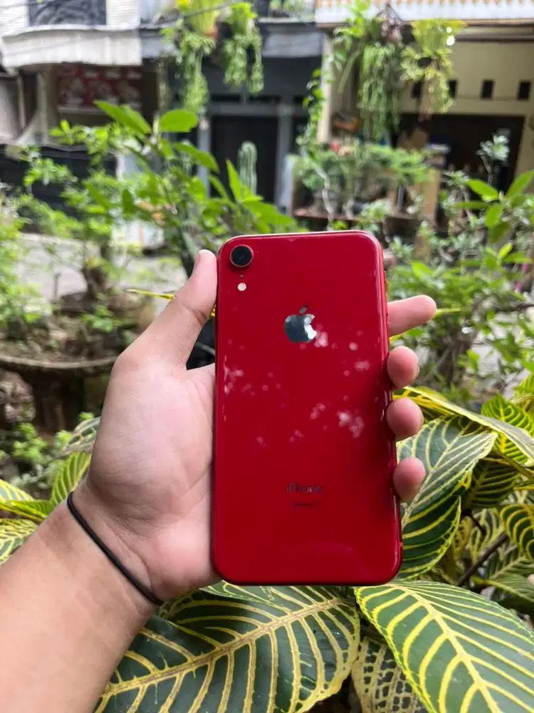 iPhone XR 64GB Terdaftar Kemenperin