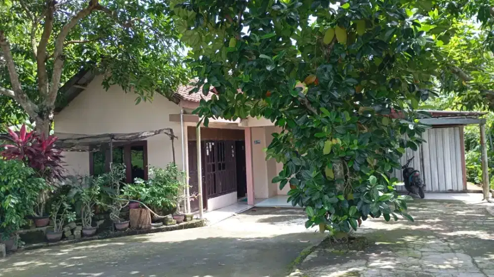 Dijual Rumah dan Tanah di Padangan, Bojonegoro