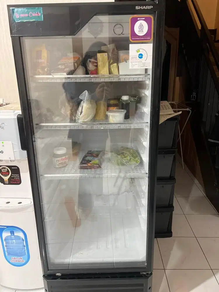 Showcase Sharp SCH 210FS