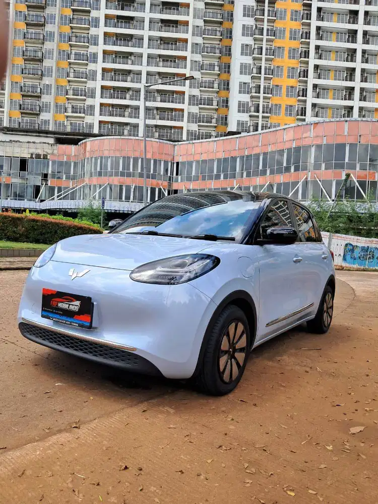 Wuling Binguo EV Long Range 410KM 2024