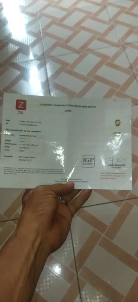 yellow sirkon memo zgl