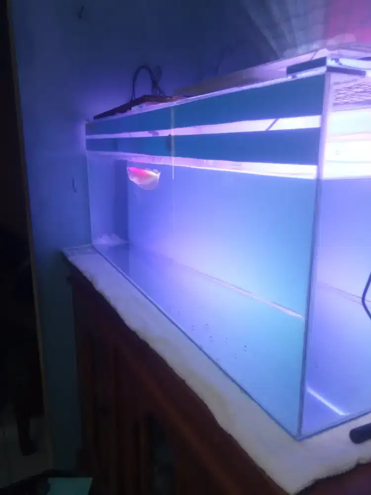 Jual Aquarium fullset