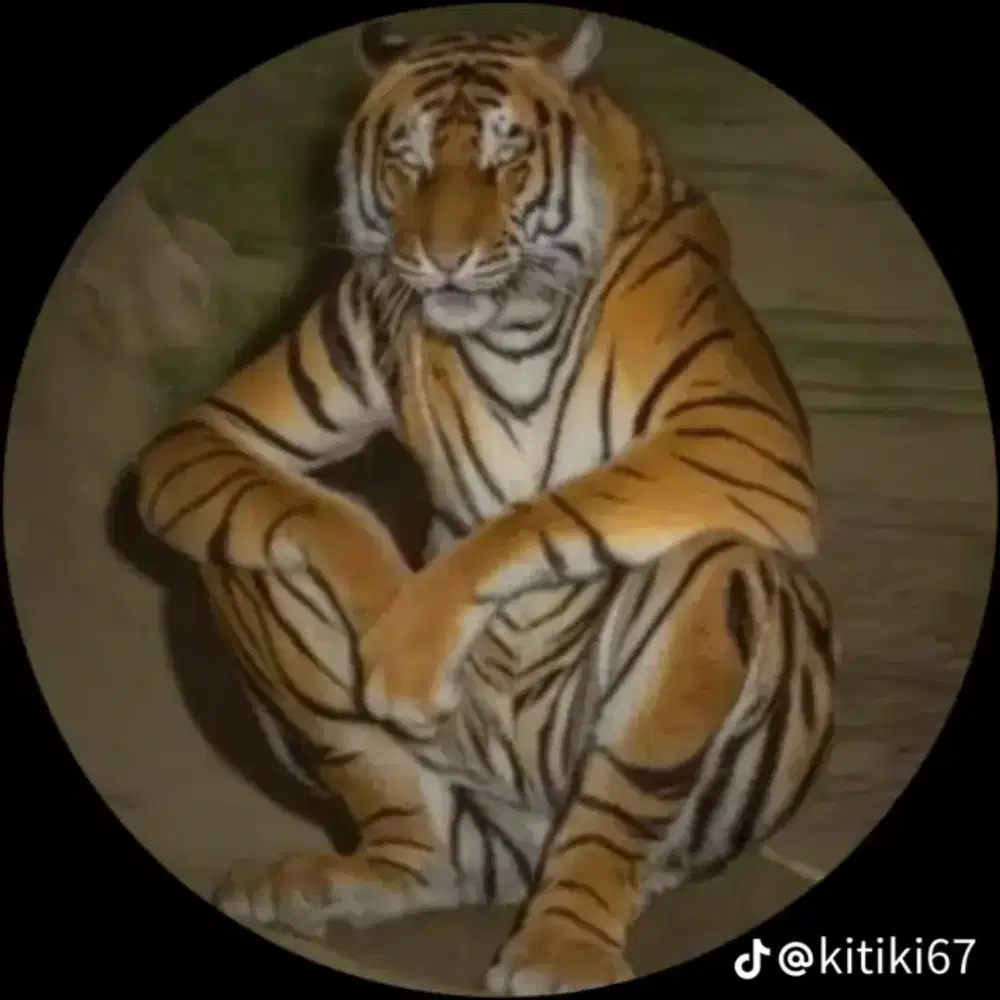 Bersih bersih rumah part time