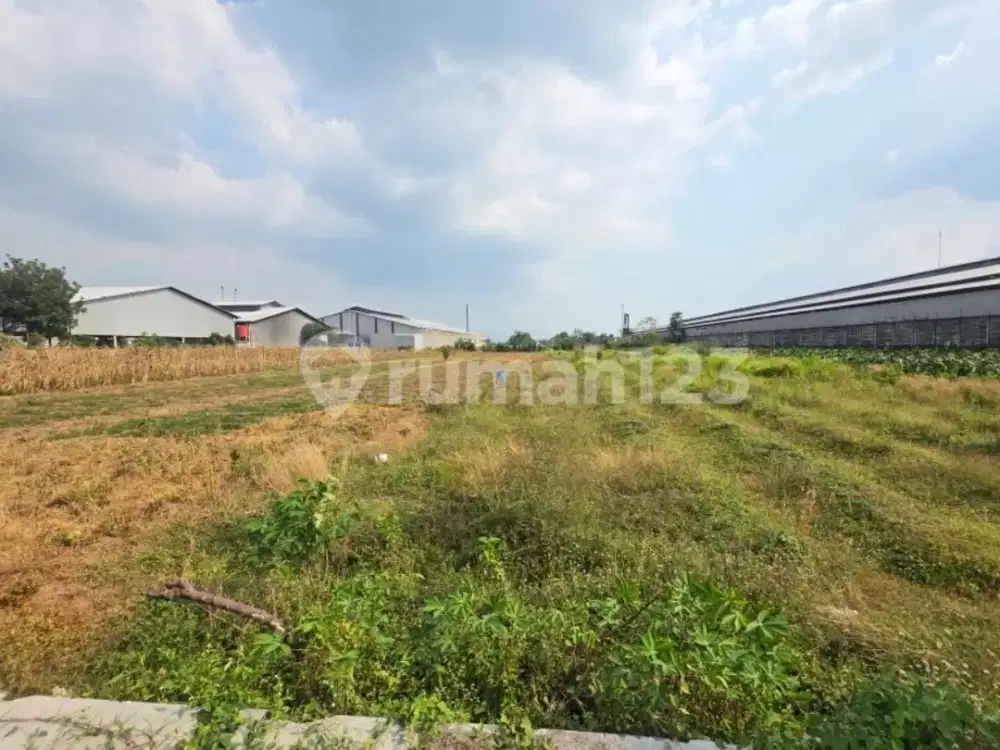 Dijual Cepat Lahan Zona Industri Lokasi Klaten Luas 4400m2