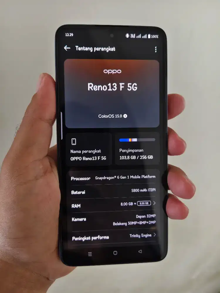 Oppo Reno 13F 5G