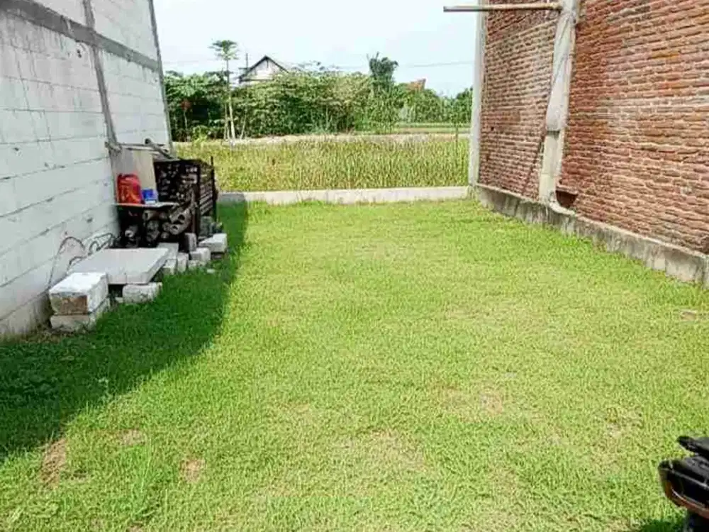 Tanah pekarangan siap bangun