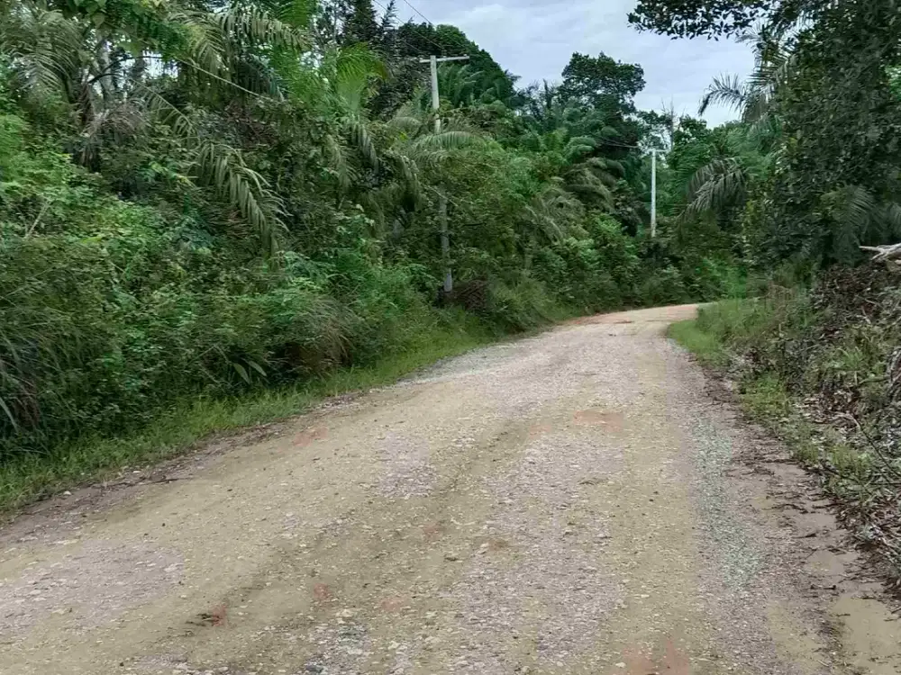 Bismillah Tanah 5 Ha SHM Termurah RING 2 IKN bisa Balik nama