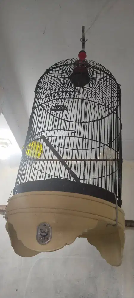 Kandang love bird tebok Ebod