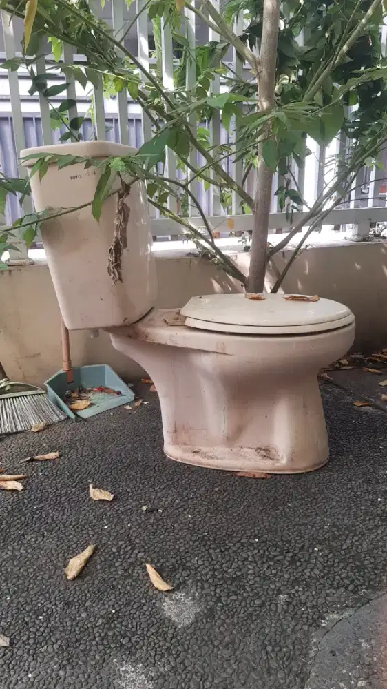 Jual kloset bekas merek TOTO