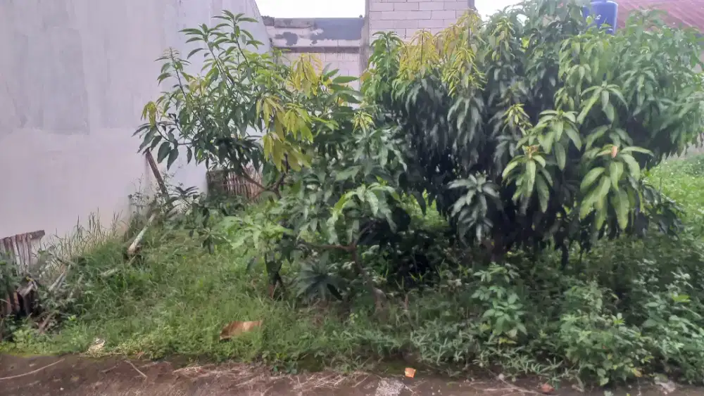 Tanah siap bangun dekat statsiun cibinong