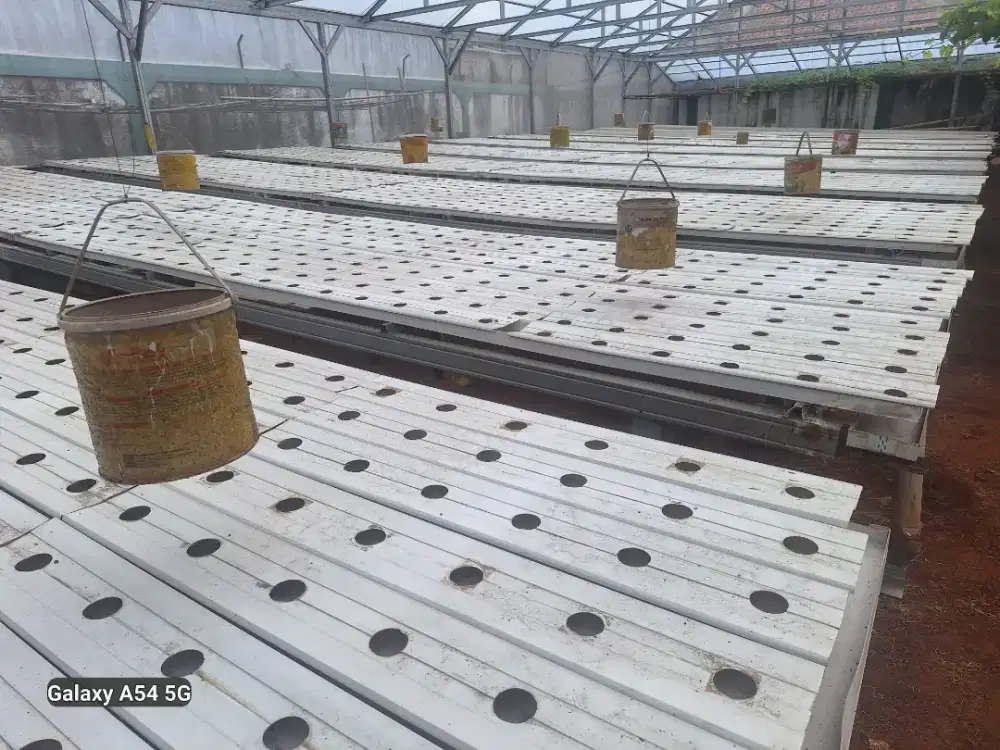 Talang guly Hidroponik