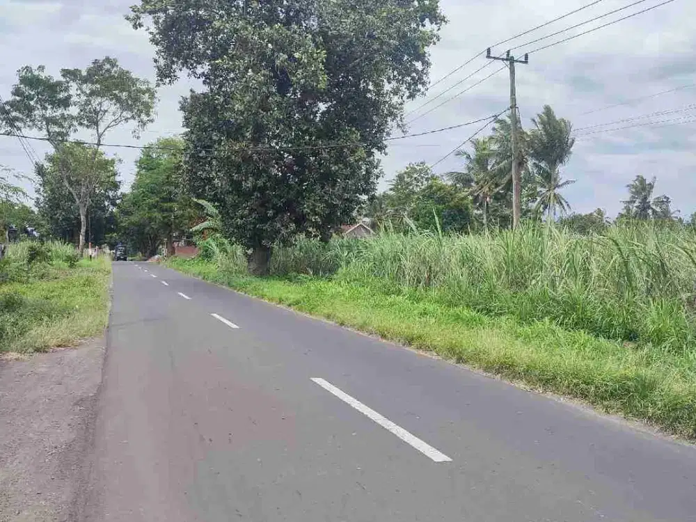 Dijual Kebun akses Tronton di Bondowoso