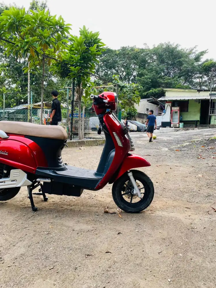 Molis Volta Mandala Kuat 50 km Tahun 2023