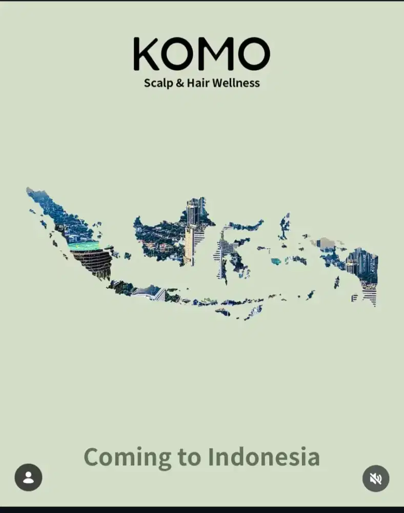 Hair Therapist / Hair Wash