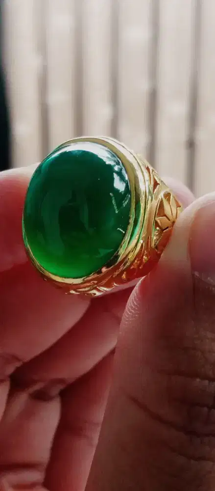 Bacan Hijau TOP HQ