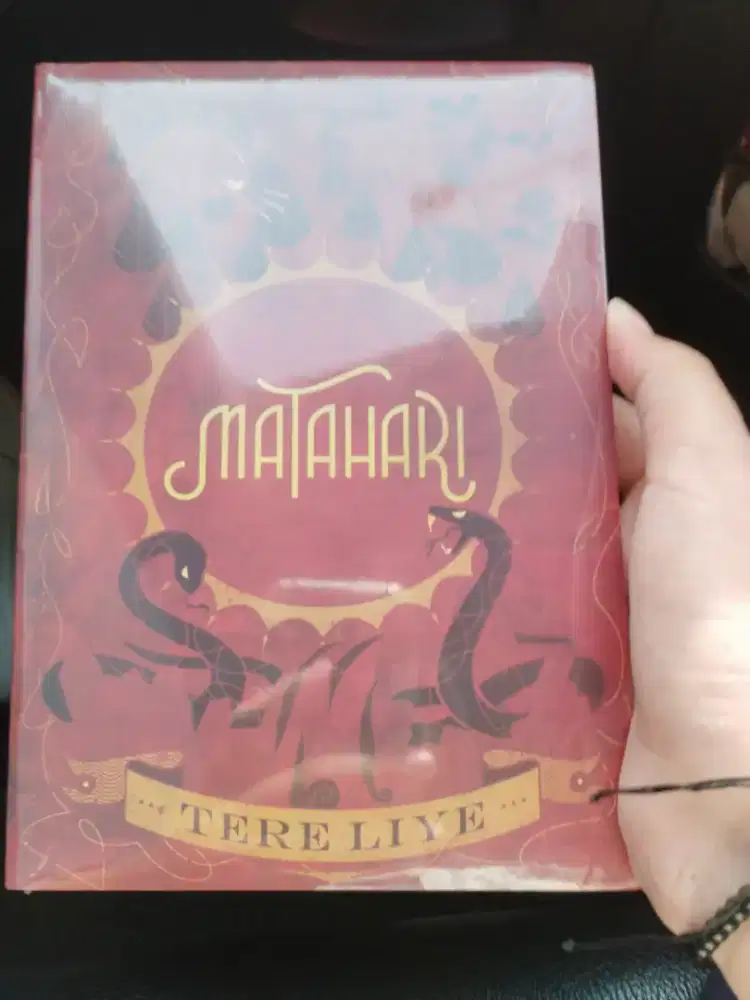 Novel Matahari TERE LIYE