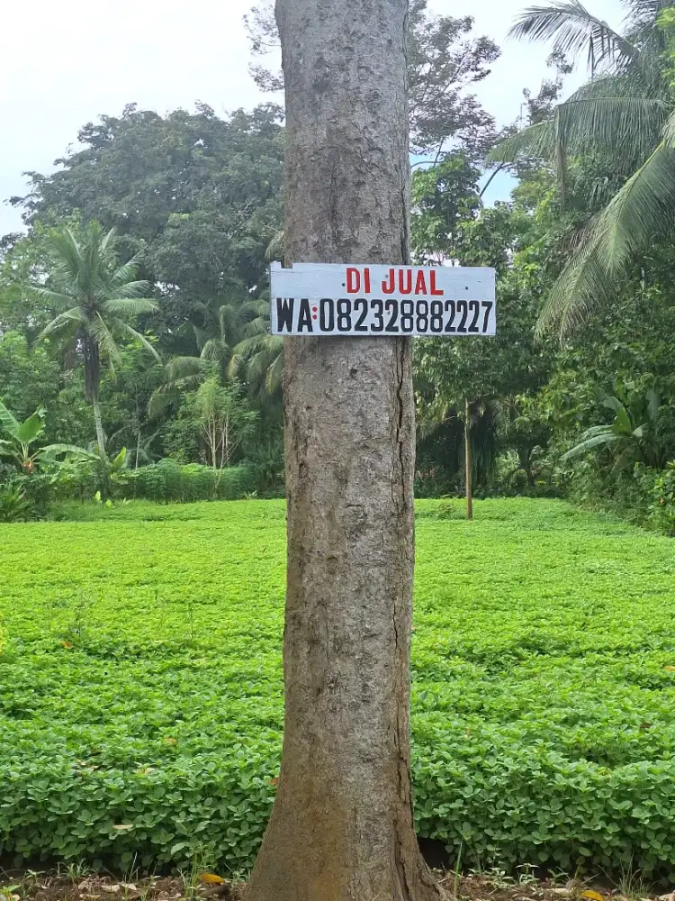 Jual Tanah Tanpa Perantara