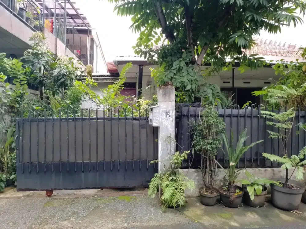 Rumah Asri di Jl Ciniru Kebayoran Baru, Jakarta Selatan