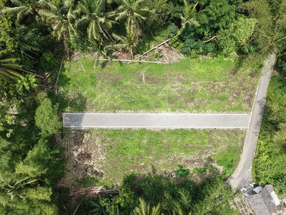 Dijual Tanah Pekarangan Tridadi Belakang Kantor BPN Sleman - 2,1 Jtm2 Bisa Cash Tempo