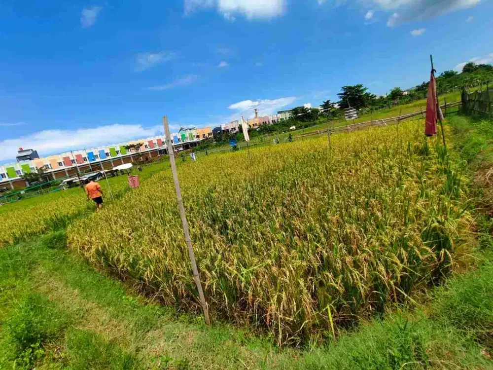 DIJUAL!!! Sebidang Tanah depan Ruko Insignia