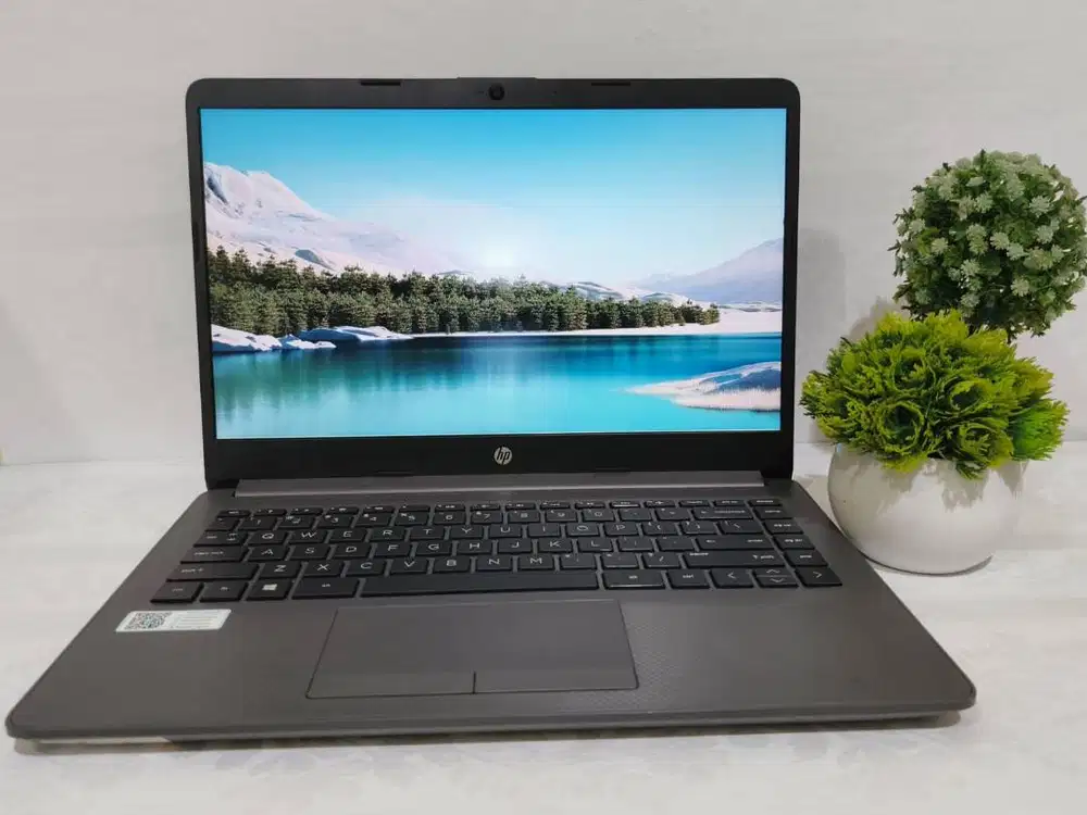 HP 245 G8 AMD Athlon Silver 3050U, RAM 4GB, SSD 256GB