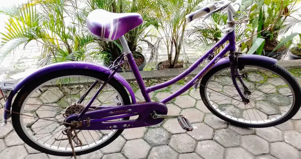 Sepeda mini Size 24 ban baru siap pakai