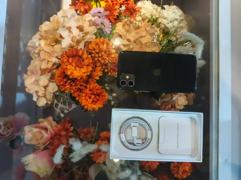 Iphone 11 256gb sangat bebas baru