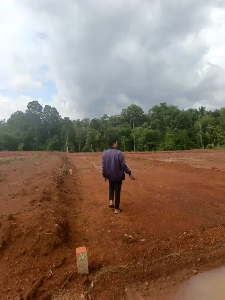 Tanah 4 kavling Bonus jalan