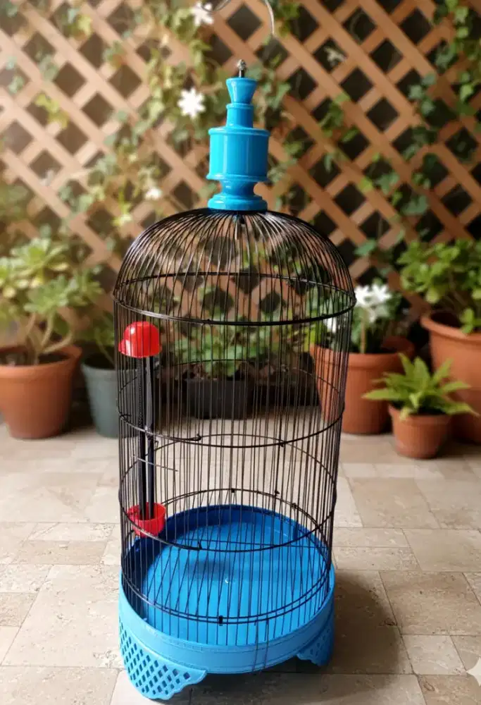 Kandang kapsul Lovebird