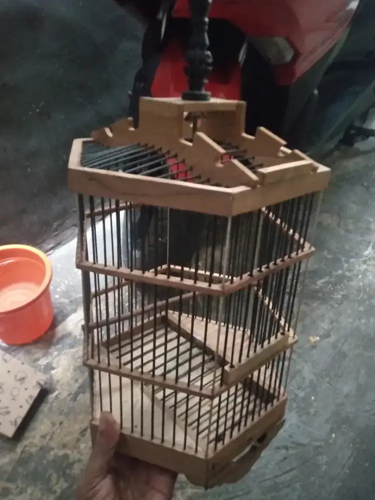 kandang burung kecil