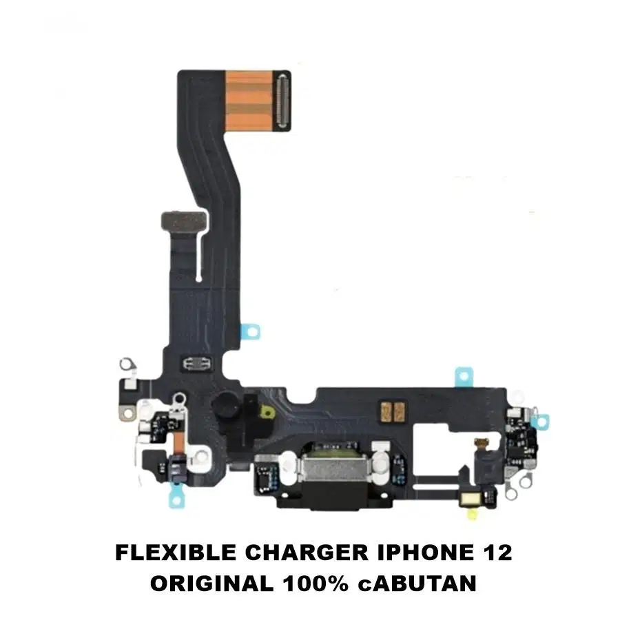 Flex Charger iPhone 12