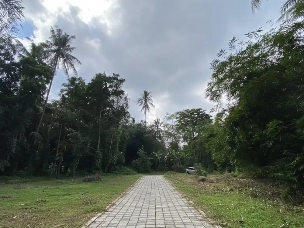 Tanah SHM Sleman, Dekat Ibarbo Park & Alun-alun Denggung