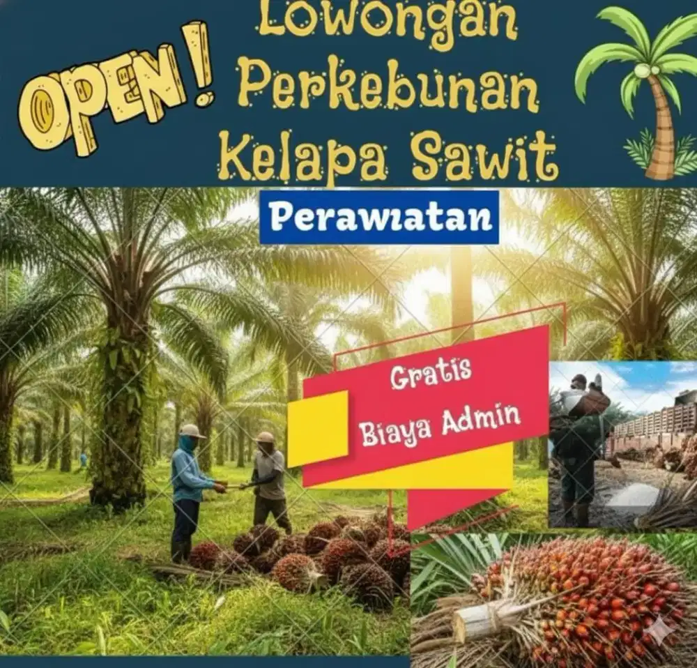 Perawatan panen dan sawit Kaltim