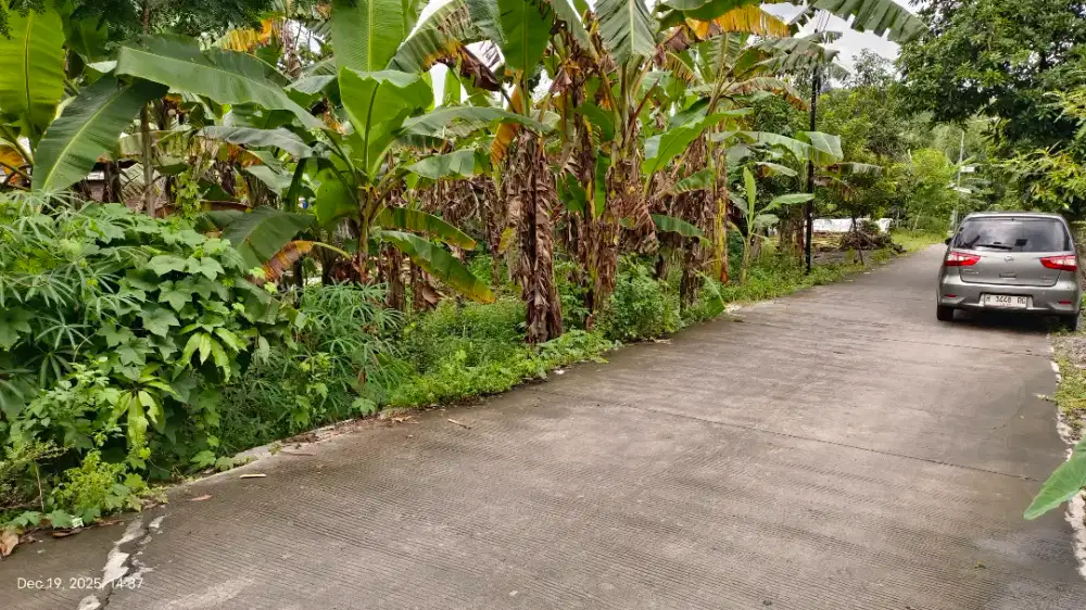 tanah bukit kencana meteseh tembalang