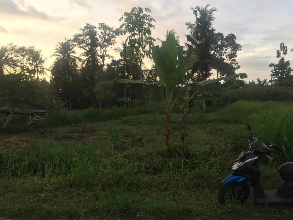 Dijual tanah kaplingan