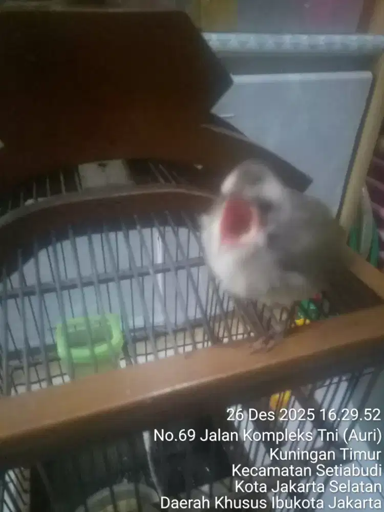 JUAL SANTAI EDISI LIBURAN