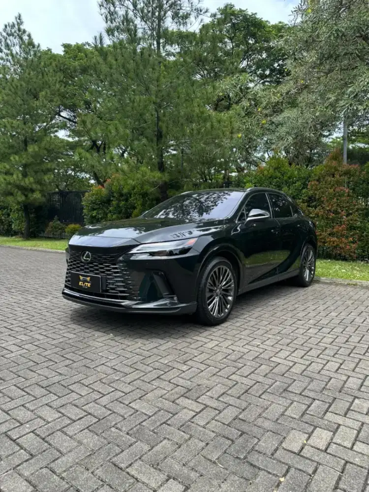 Lexus RX350 Hybrid Luxury 2023