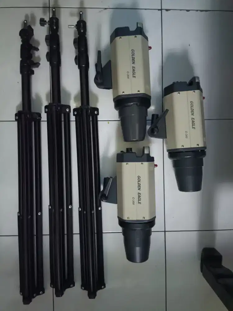 Lighting Golden Eagle C 300