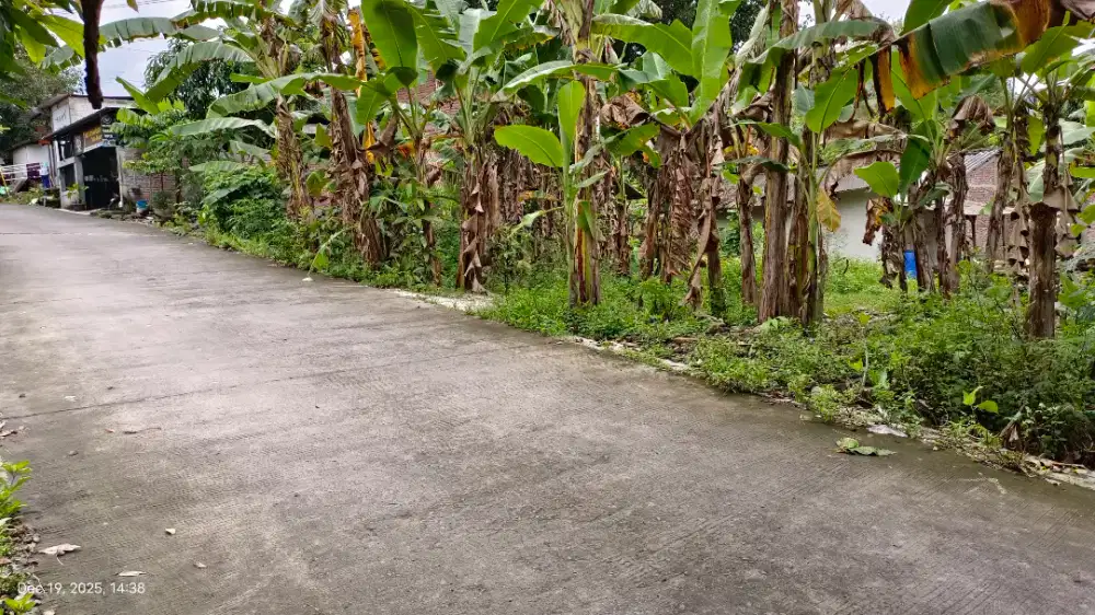 tanah tembalang bukit kencana meteseh