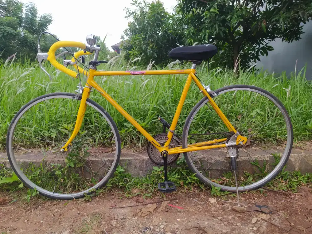 Sepeda Balap Phoenix Joss