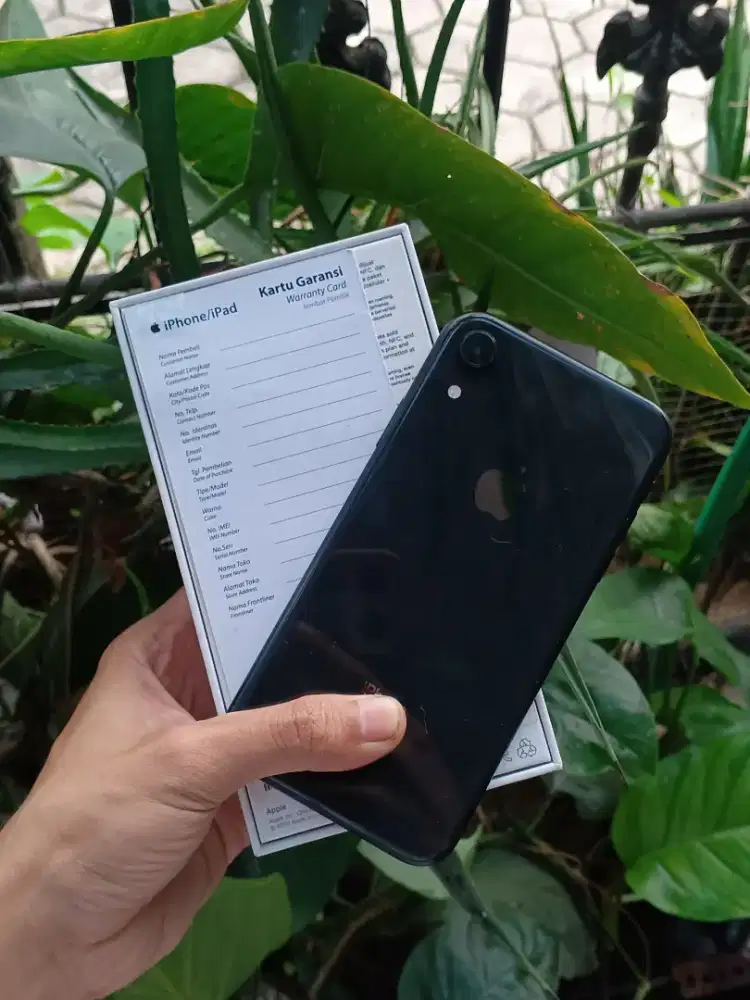 iPhone XR 128 GB iBox