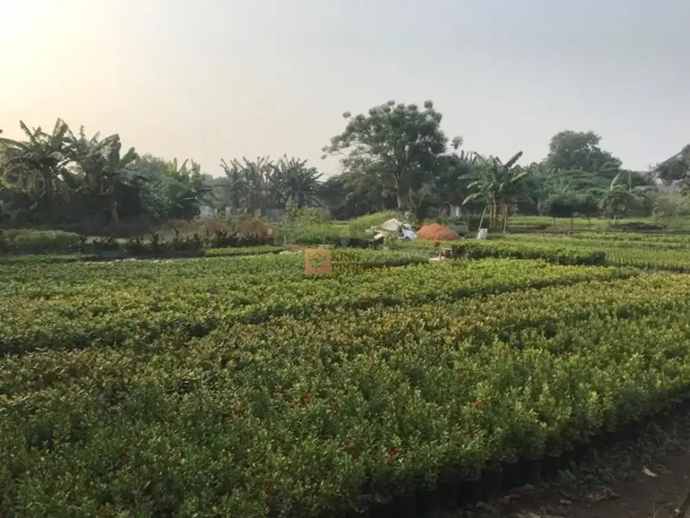 Dijual Cepat Tanah Luas di Bawah NJOP – Karang Tengah Tangerang, 2 Akses Jalan