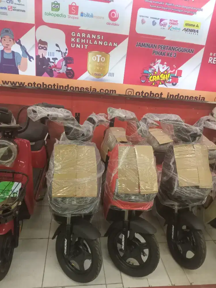 SEPEDA LISTRIK PACIFIC ZECKROM 300